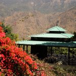IMG_8870